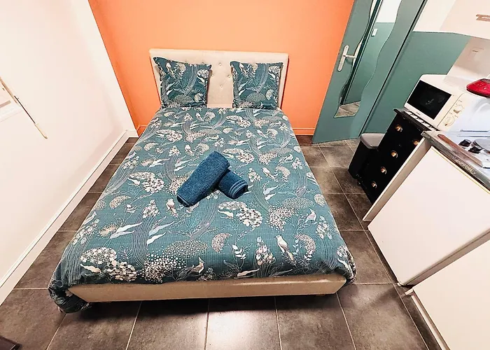 Proche Gare Et Commodites 믈룅